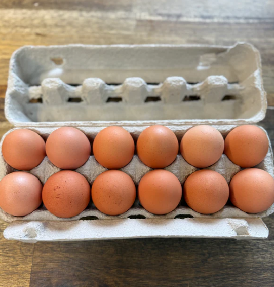 Barn Laid Eggs