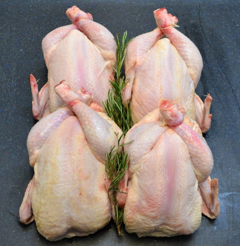 Whole Fresh Chickens Gourmet Meat Company